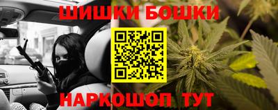гашик Кандалакша