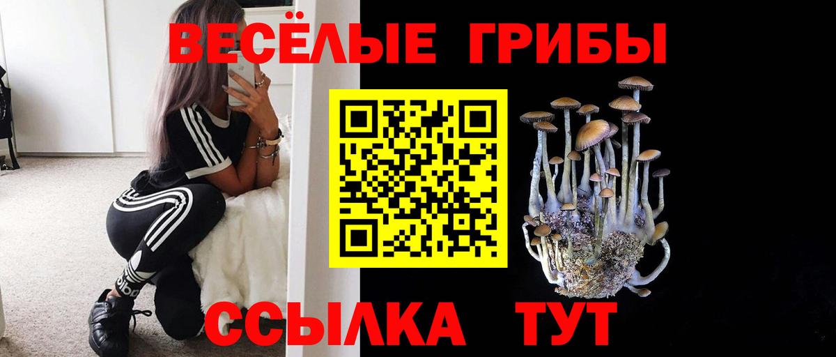 Галлюциногенные грибы ЛСД Медногорск